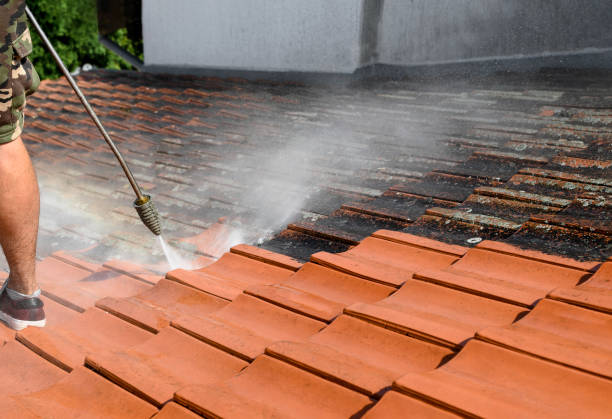 Best Pressure Washing Contractors  in Newport, MN