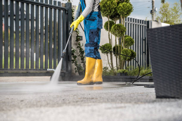 Best Concrete Pressure Washing  in Newport, MN