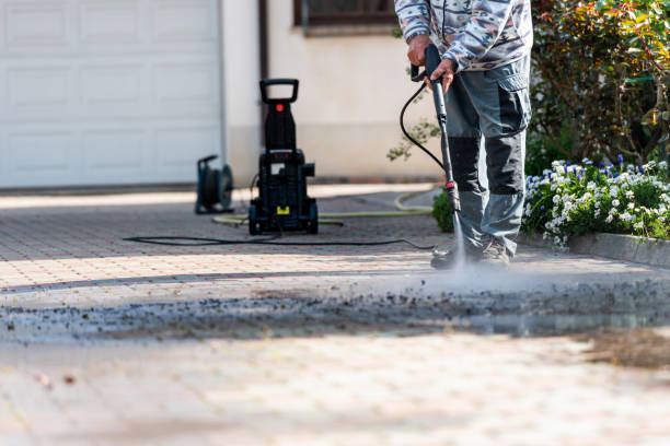 Best Roof Pressure Washing  in Newport, MN