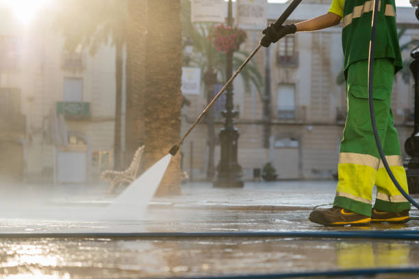 Best Roof Pressure Washing  in Newport, MN